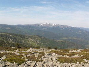 Kamenitý vrchol a pohľad z vrcholu na sever. Foto 5.6.2010, 11.00 hod.