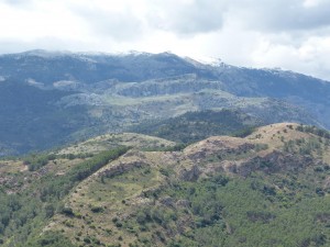 Najvyšší hrebeň pohoria Serranía de Ronda s vrcholom Torrecilla 1918 m.n.m., kde ležal čerstvý sneh. 