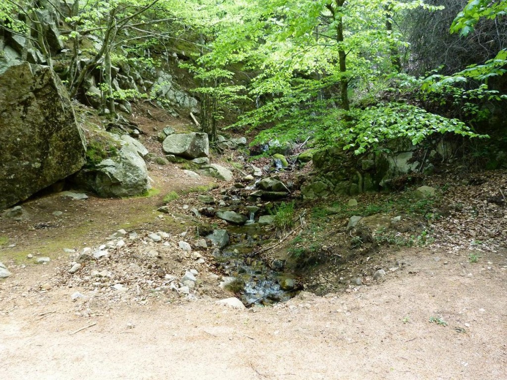 Potok na východ od rekreačného strediska Santa Fé ( Montseny ).