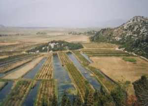 ..delta rieky Neretva, 07.04.2002.....