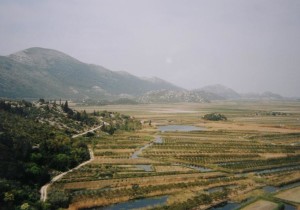 ..delta rieky Neretva. Na úzkych políčkach sa pestujú pomarančovníky. Je to vhodné životné prostredie pre mnoho plazov a obojživelníkov, 07.04.2002.....