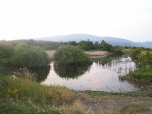 Prírodne jazierko na východe vrcholu Sár hegy. Údajne tu žili korytnačky močiarne ( Emys orbicularis ).