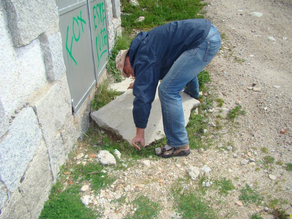 Všade je námraza, ale pod týmto kameňom, na južnej strane trafostanice je liaheň jašteríc múrových.